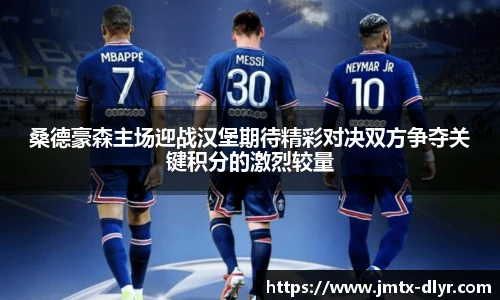 桑德豪森主场迎战汉堡期待精彩对决双方争夺关键积分的激烈较量